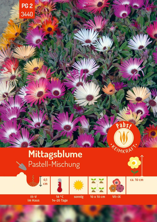 Pabst Keimkraft Mittagsblume Mischung