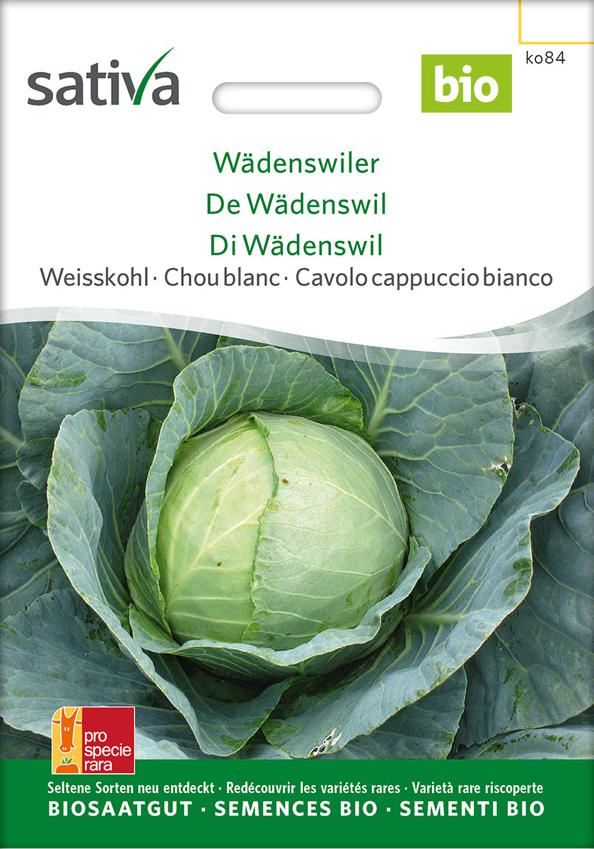 Sativa Weisskohl Wädenswiler