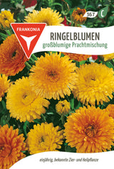 Frankonia Samen Ringelblumen großblumige Prachtmischung