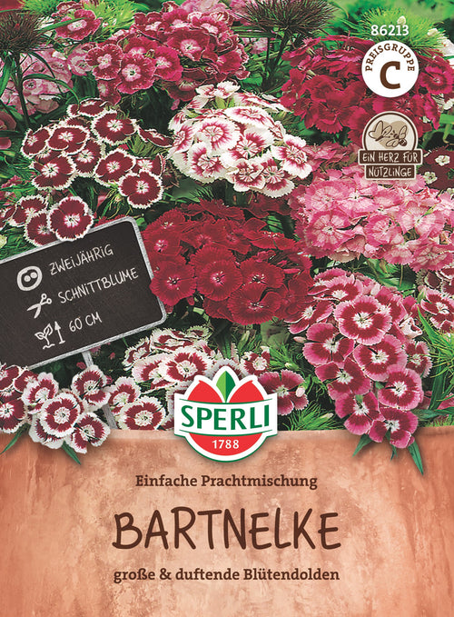SPERLI Bartnelke Einfache Prachtmischung