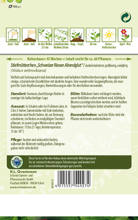 N.L. Chrestensen Stiefmütterchen Schweizer Riesen Abendglut