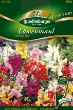 Quedlinburger Löwenmaul Cutting Star