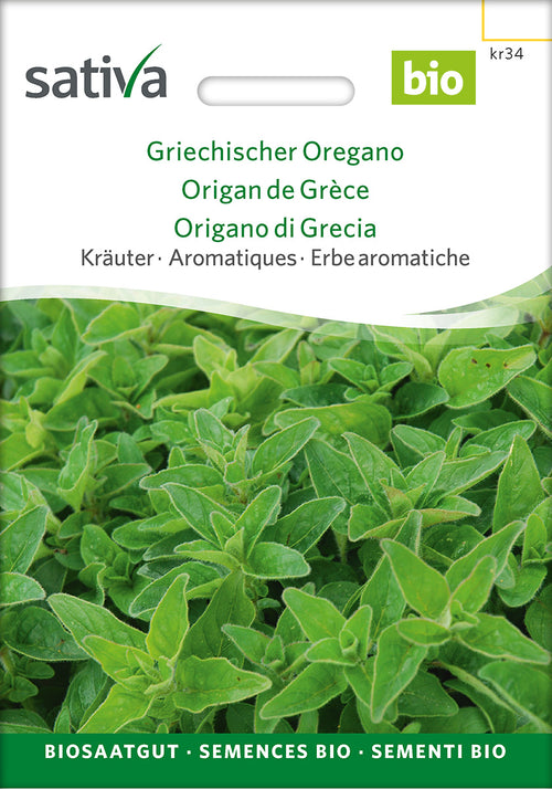 Sativa Griechischer Oregano