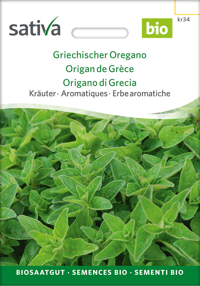 Sativa Griechischer Oregano