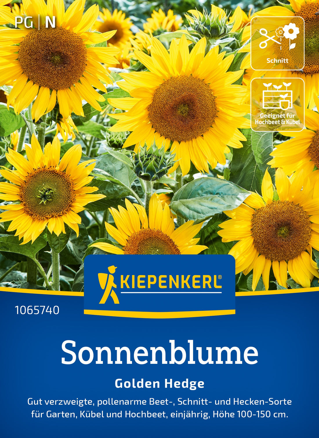 Kiepenkerl Sonnenblumen Golden Hedge