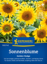 Kiepenkerl Sonnenblumen Golden Hedge
