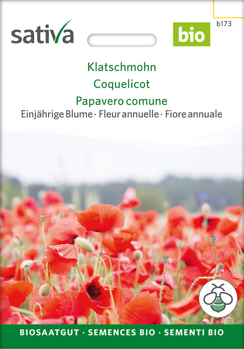 Sativa Klatschmohn