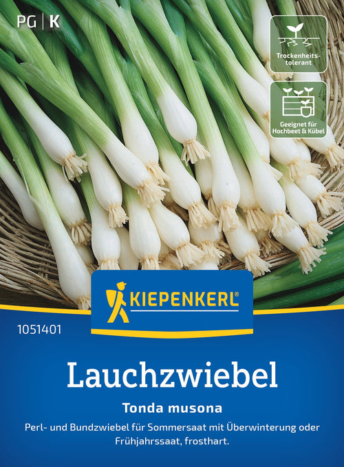 Kiepenkerl Zwiebel Tonda musona