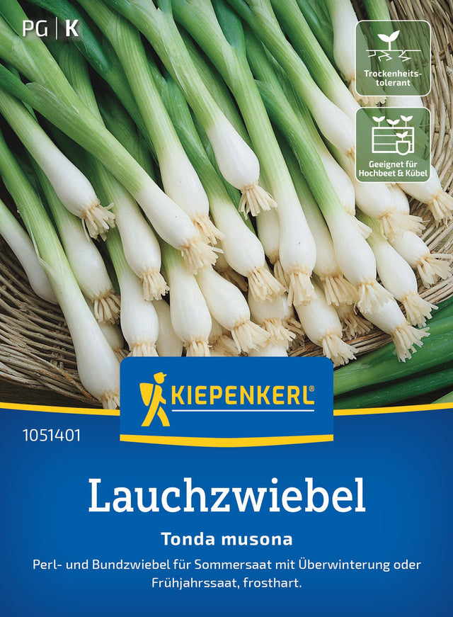 Kiepenkerl Zwiebel Tonda musona