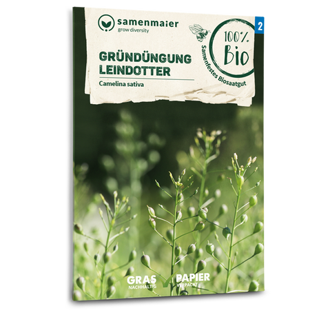 Samen Maier BIO Gründüngung Leindotter