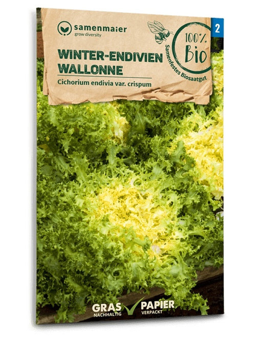 Samen Maier BIO Winter-Endiviensalat Wallonne