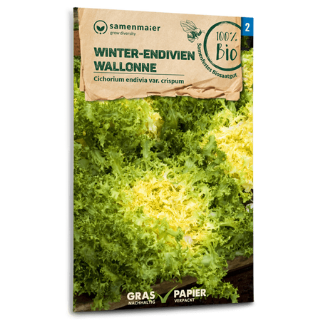 Samen Maier BIO Winter-Endiviensalat Wallonne