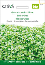 Sativa Griechischer Basilikum