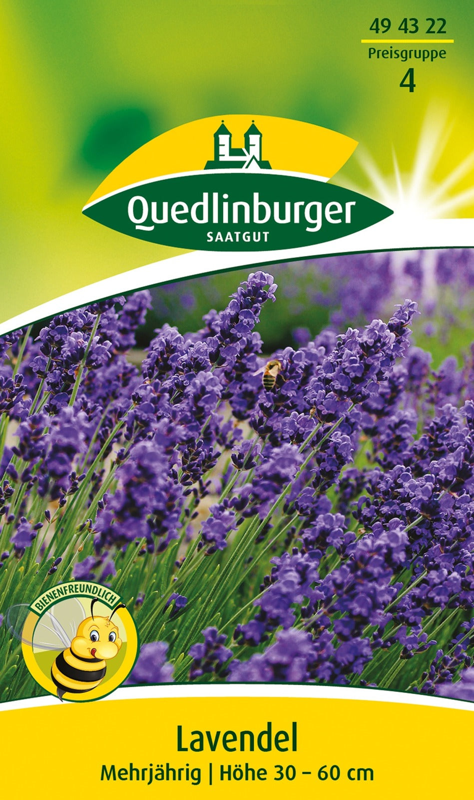 Quedlinburger Lavendel blau mehrjährig