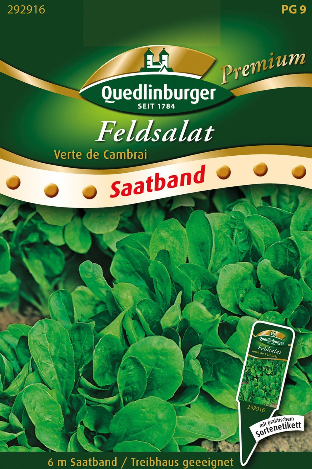 Quedlinburger Feldsalat Verte de Cambrai Saatband