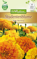 N.L. Chrestensen Tagetes hohe Mischung