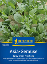 Kiepenkerl Asia-Salat Spicy Green Mischung