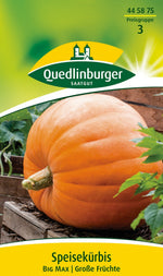 Quedlinburger Speisekürbis Big Max