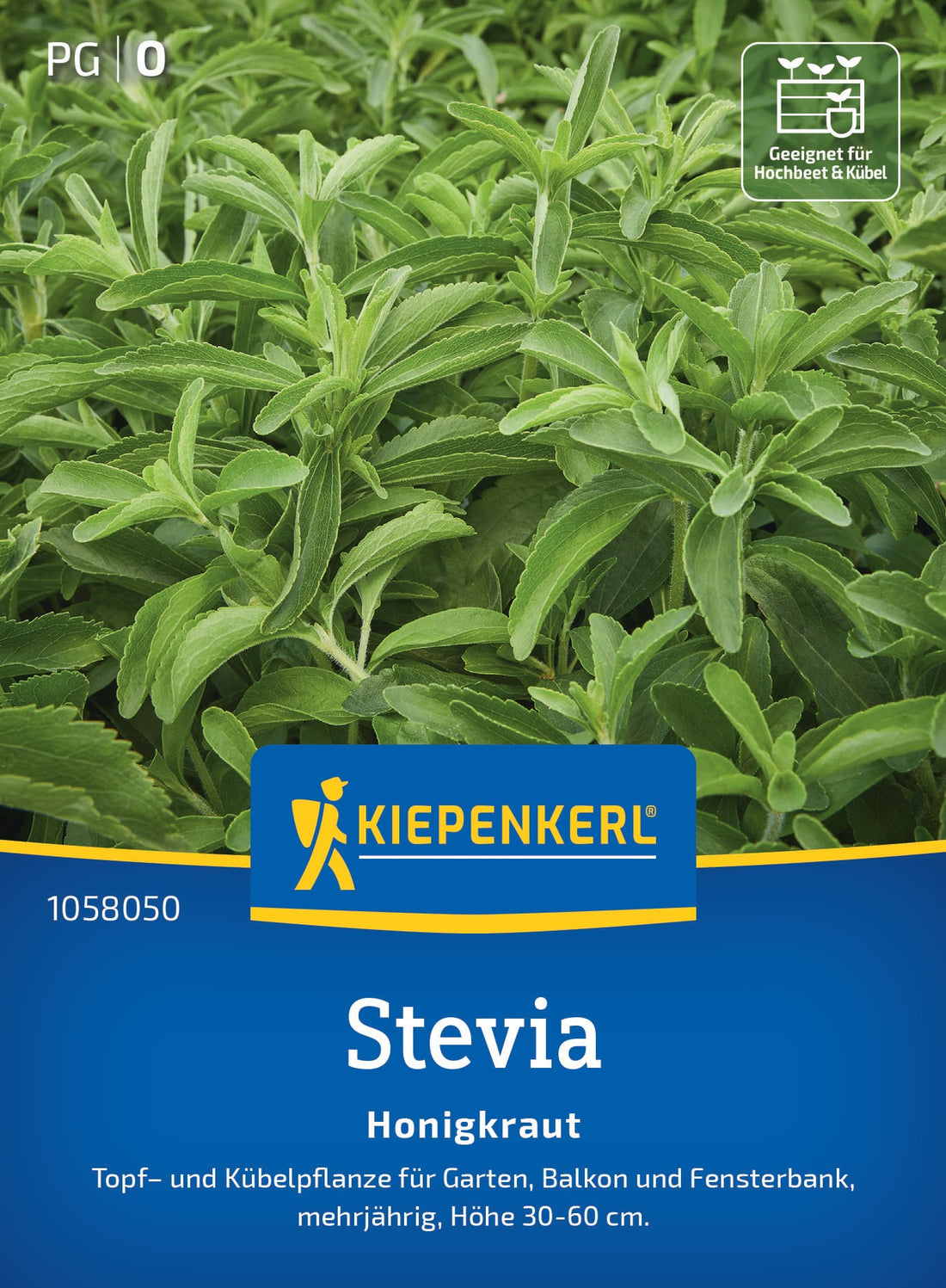 Kiepenkerl Stevia Honigkraut