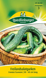 Quedlinburger Freiland-Salatgurke Chinese Slangen