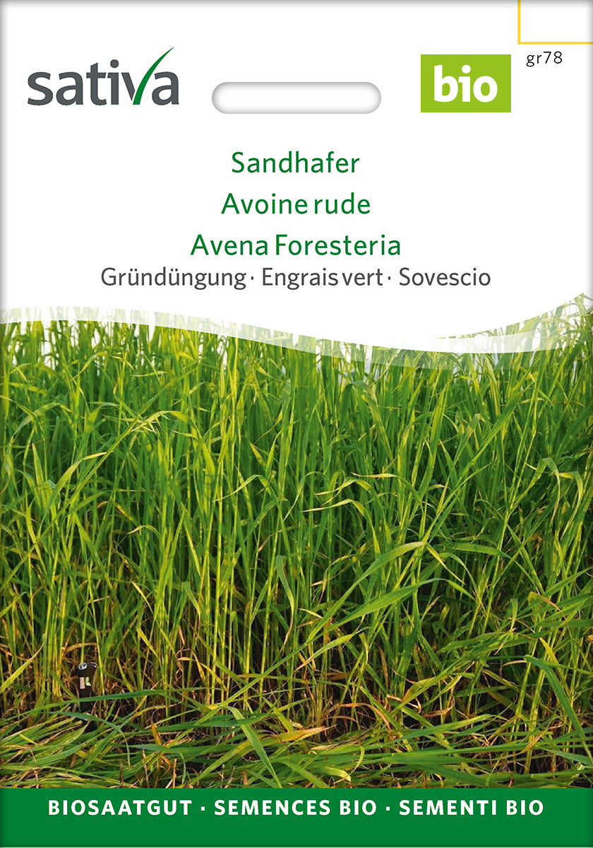 Sativa BIO Gründüngung Sandhafer
