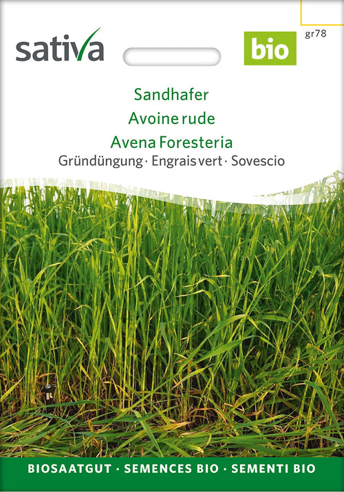 Sativa BIO Gründüngung Sandhafer