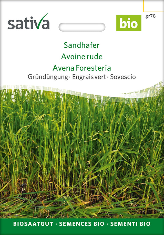 Sativa BIO Gründüngung Sandhafer