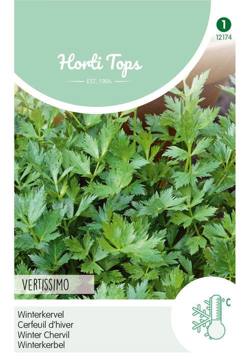 Horti Tops Kerbel Vertissimo Winter