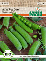 Samen Pfann BIO Markerbse Ambassador