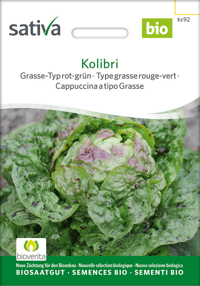 Sativa Grasse-Typ rot-grün Kolibri