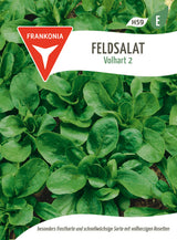 Frankonia Samen Feldsalat Volhart 2 Vorteilspackung