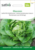 Sativa Lattich für Salatherzen Maureen