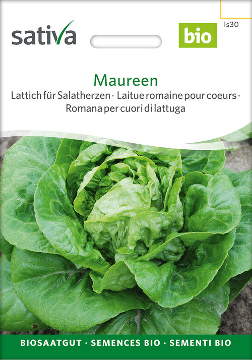 Sativa Lattich für Salatherzen Maureen