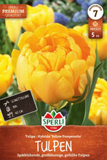 Premium Gefüllte Späte Tulpe Yellow Pompenette