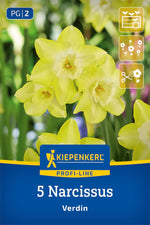 Profi-Line Narzisse Verdin