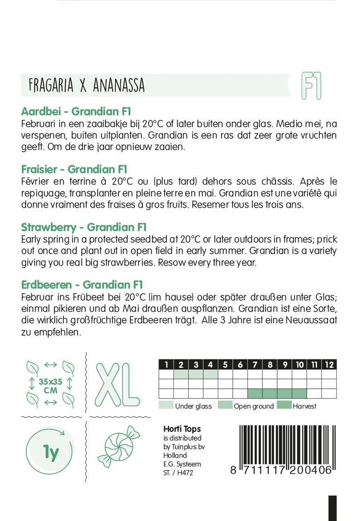 Horti Tops® Erdbeeren Grandian F1