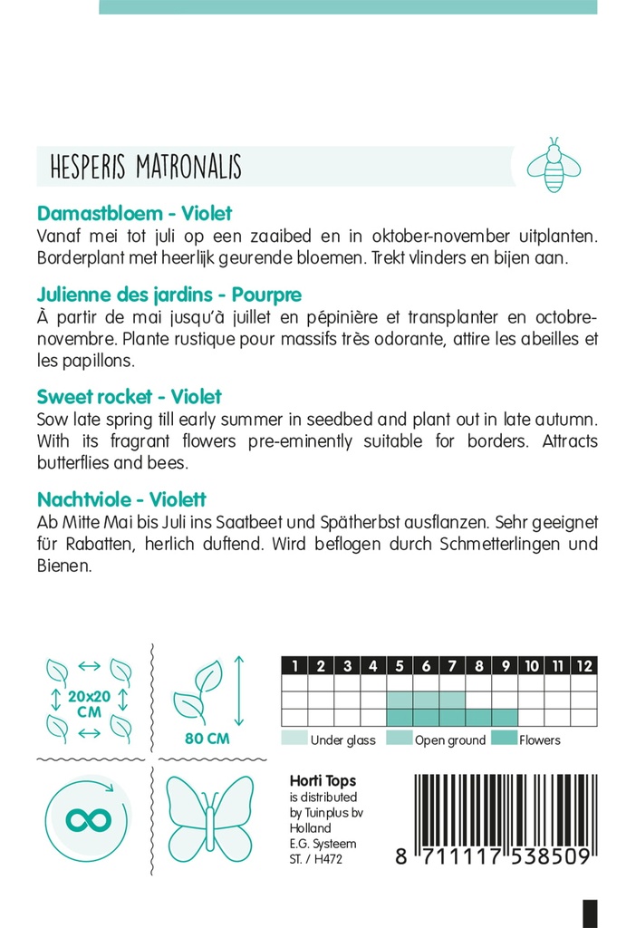 Horti Tops® Aubrietia Hybrida Grandiflora Mischung