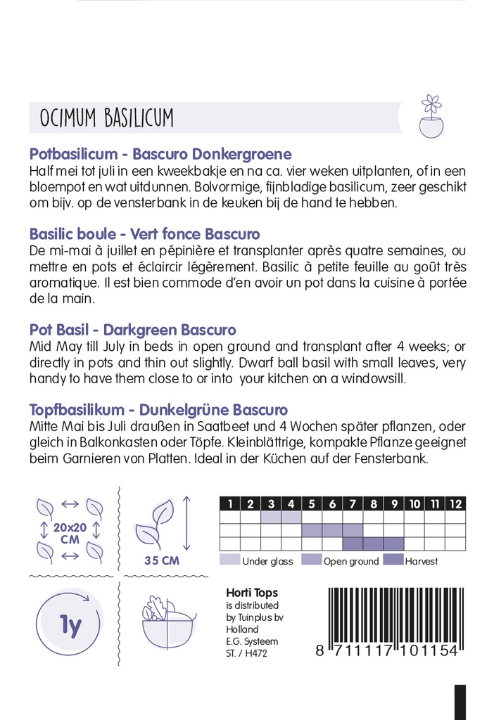 Horti Tops® Basilikum Bascuro  Typ Greco Dunkelgrun