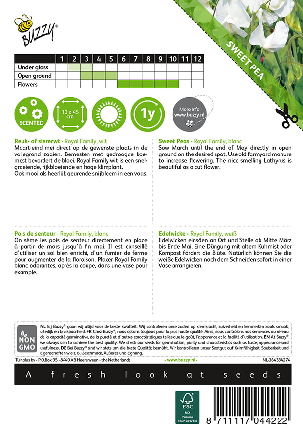 Buzzy® Lathyrus odoratus Royal Weiss