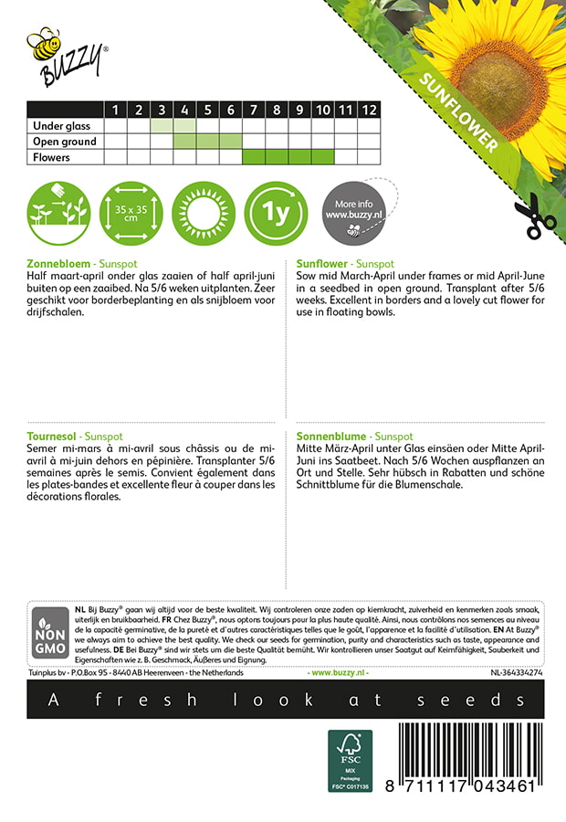 Buzzy® Niedrige Sonnenblume Sunspot, gelb