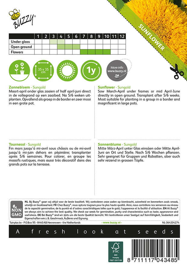 Buzzy® Niedrige Sonnenblume Sungold