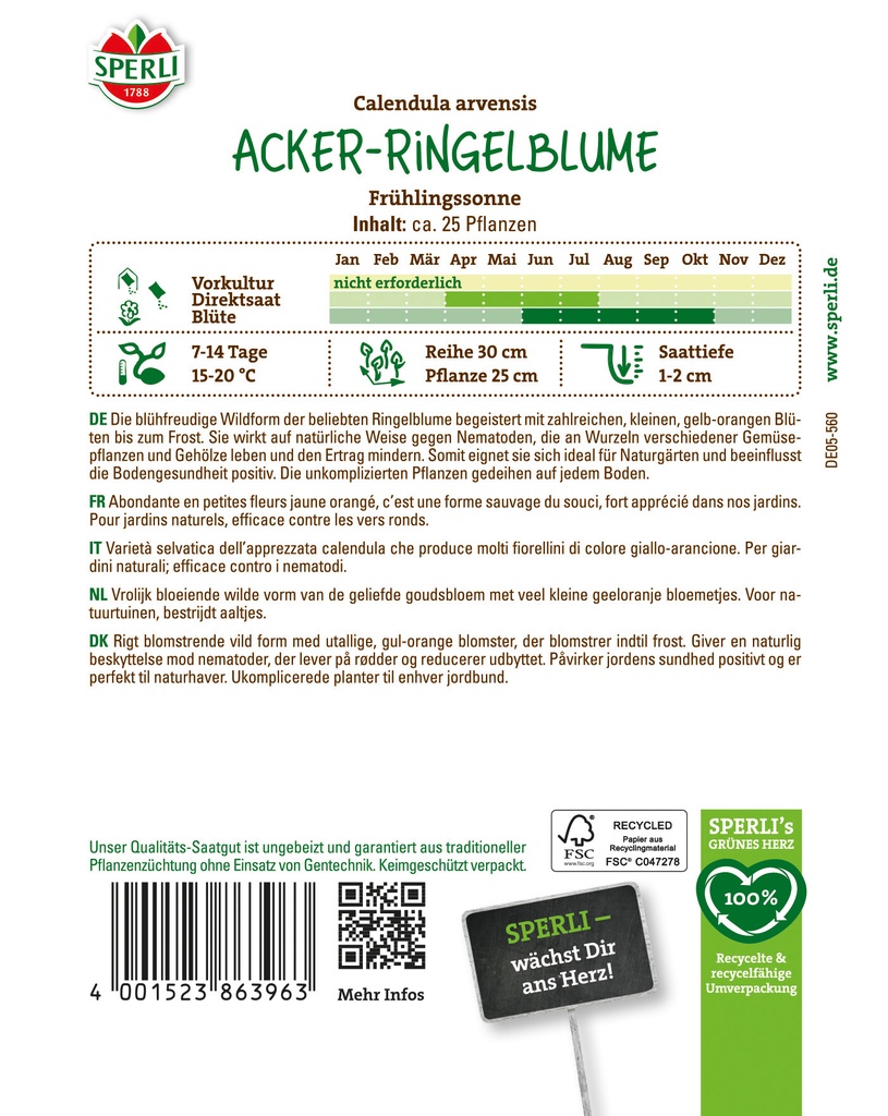 Acker-Ringelblume Frühlingssonne