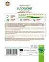 Buschbohne Dubbele Witte z.dr.