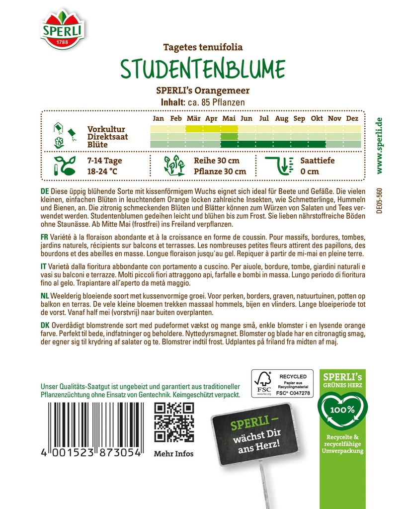 Studentenblume SPERLI's Orangemeer