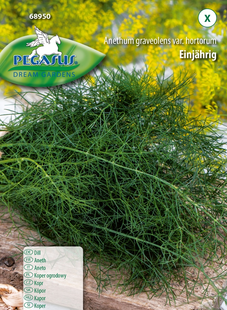 Dill, einjährig