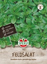 Feldsalat Vit