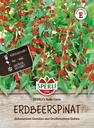 Erdbeerspinat SPERLI's Rote Gans