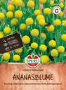 Ananasblume SPERLI's Süßer Duft