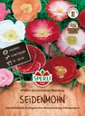 Seidenmohn SPERLI's Sonnenschein Mischung