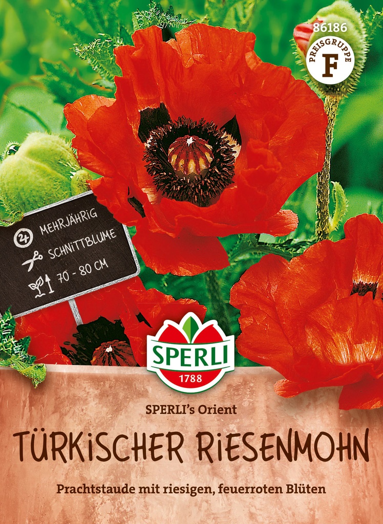 Türkischer Riesenmohn SPERLI's Orient